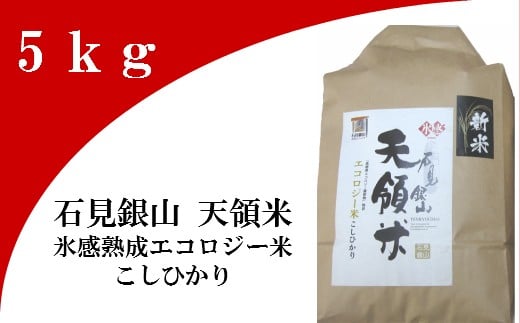 石見銀山天領米（氷感熟成エコロジー米こしひかり）5kg【コシヒカリ 5kg 島根県産 大田市産 米 エコロジー米 氷感熟成 減農薬 減化学肥料】