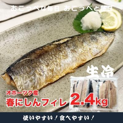 ふるさと納税 興部町 【ワケあり】特大 ”生冷” 春にしんフィレ2.4kg(オホーツク産・オス無塩)【20034】