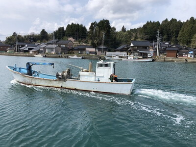 沢田水産 能登かき むき身 1kg（箱入り） 加熱調理用 | 牡蠣 ※2027年1月～発送