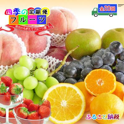 ふるさと納税 坂出市 【2週間毎定期便】創業100年の老舗が選んだ厳選フルーツの詰め合わせ【プレミア定期便】全20回