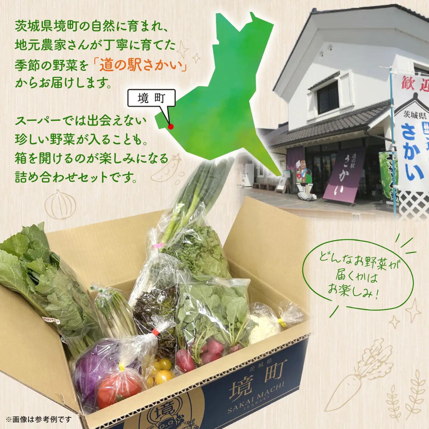 K2578【定期便/6ヶ月連続お届け】さかいの採れたて 野菜セット(5～8種) 道の駅さかい おまかせ 産地直送 新鮮