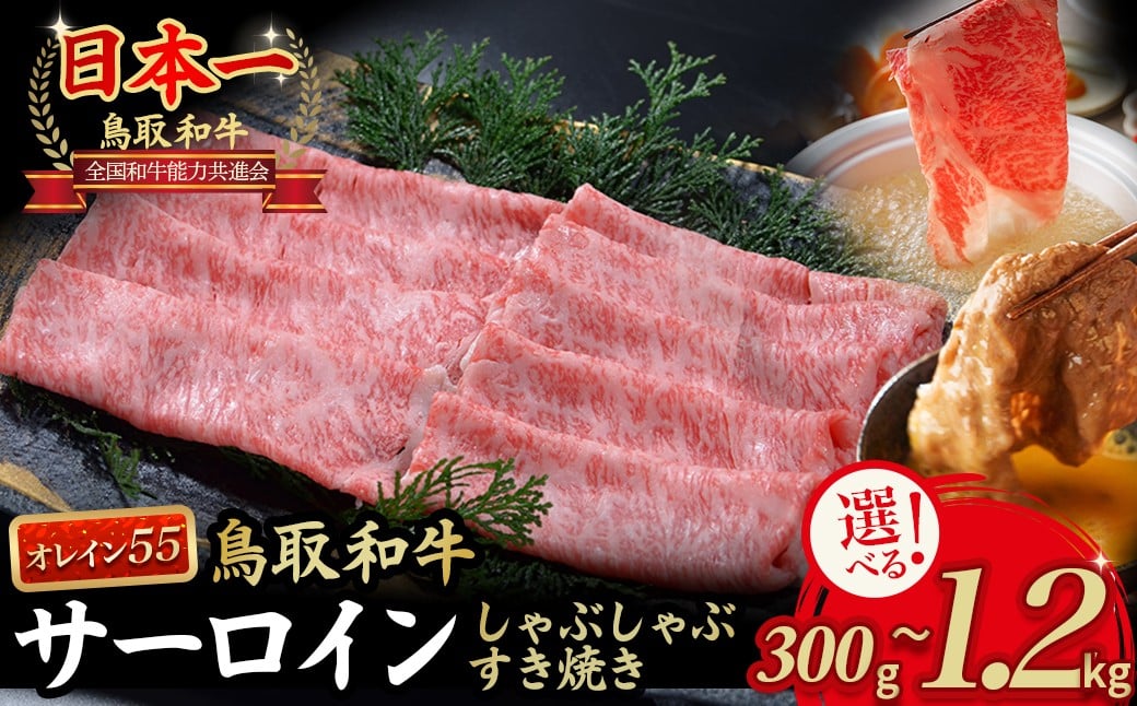 
            鳥取和牛 最高級品質【オレイン55】サーロイン しゃぶしゃぶすき焼き用 (300g ~ 2kg) 鳥取和牛 オレイン55 サーロイン しゃぶしゃぶ すき焼き 国産 牛肉 ブランド牛 和牛 黒毛和牛
          