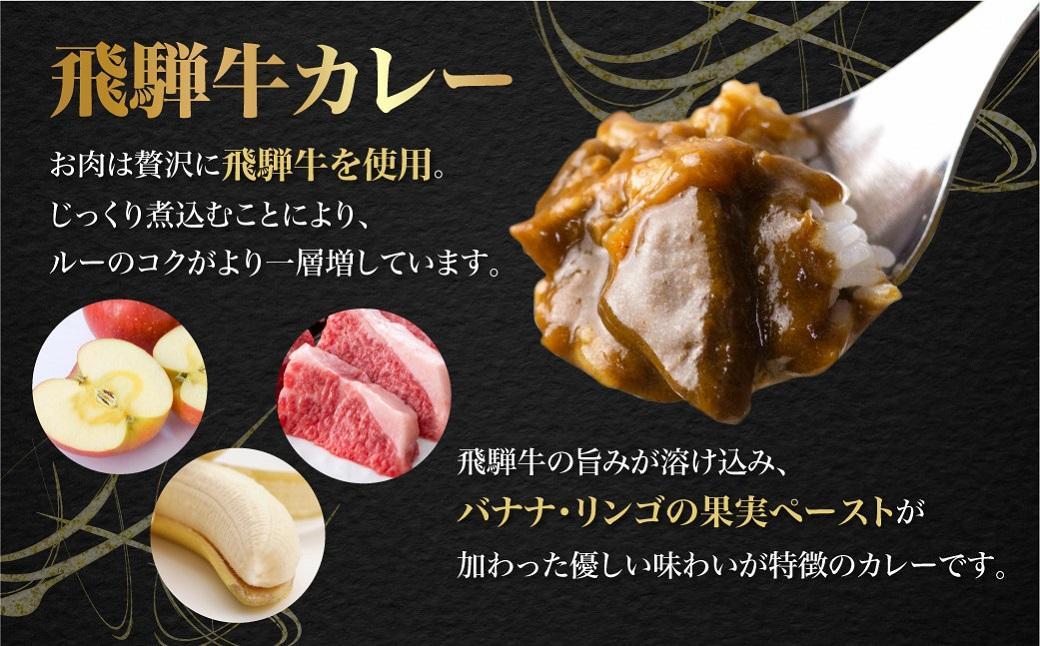 飛騨牛カレー (5袋)  | 訳あり 飛騨牛 肉 牛 カレー ビーフカレー 簡易包装 レトルトカレー 人気 おすすめ おいしい 便利 飛騨高山 ふるさと清見 DC005VC13