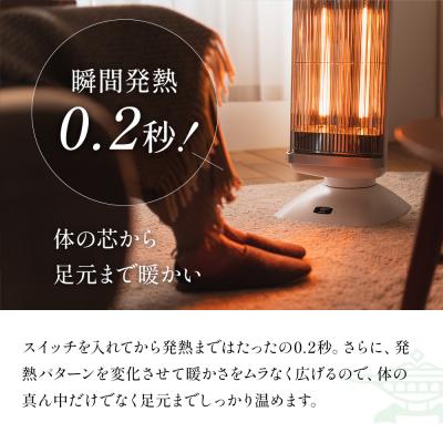 ふるさと納税 加西市 特別寄附額 訳あり 過年度モデル アラジン 遠赤 グラファイトヒーター [No5698-1326] |  | 03