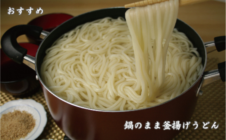 ふっくらモチモチ神埼生うどん 10袋入 【麺 うどん 生うどん 釜揚げうどん】(H014145)