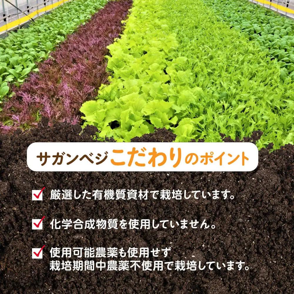 【全6回定期便】オーガニック サラダミニセット 7種×1パック / 佐賀県 / 株式会社サガンベジ [41ANCH005]