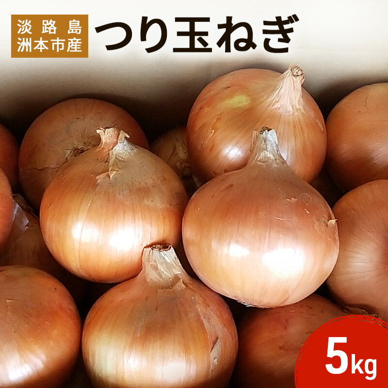 【ふるさと納税】ふれあい市の会 つり玉ねぎ 5kg 淡路島 玉ねぎ タマネギ 野菜 旬の野菜 季節の野菜 兵庫県 洲本市 淡路島　お届け：2025年6月下旬～2025年11月中旬