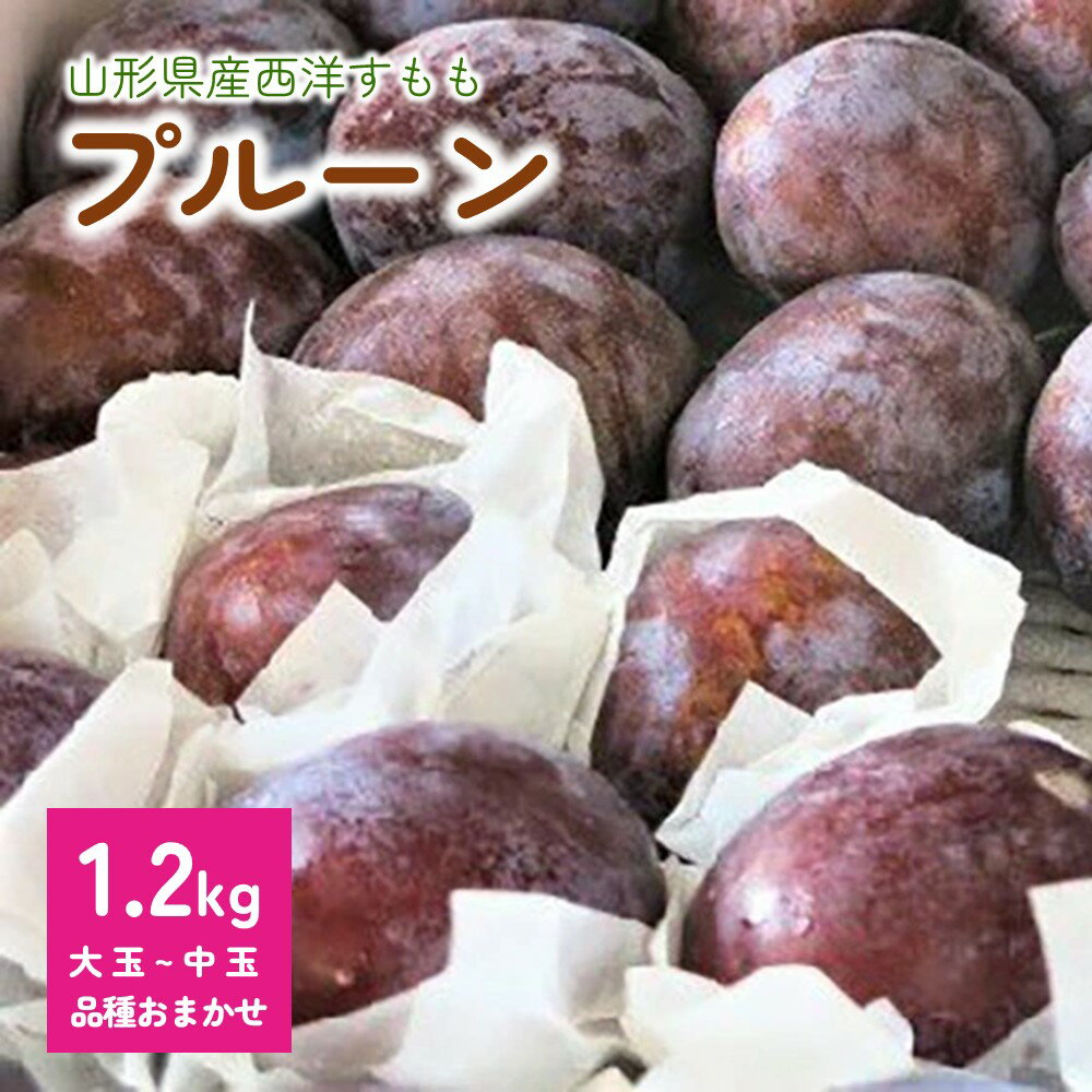 【ふるさと納税】プルーン 1.2kg 大玉~中玉 品種おまかせ 果物 フルーツ 産地直送 山形 お取り寄せ 送料無料 山形県 上山市 0075-2618