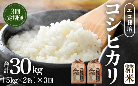 【先行予約】【令和8年産 新米】《定期便3回》エコ栽培コシヒカリ 白米10kg（5kg×2袋）計30kg ／ 鮮度抜群 福井県産 こしひかり ご飯 新鮮 白米 ※2026年10月上旬以降順次発送 [aw063-f006]