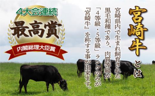 《2026年4月発送》宮崎牛ロースステーキ 200g×2枚 合計400g