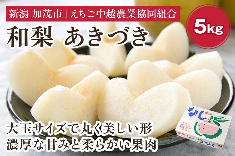 
                  【2026年先行予約】「天果糖逸（てんかとういつ）」 新潟県産和梨 あきづき 約5kg（8～10玉）《9月下旬〜配送予定》 果物 フルーツ 冬の味覚 産地直送 加茂市 えちご中越農業協同組合
                