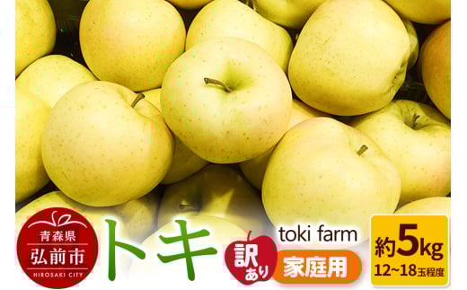 【25年9月クール便発送】りんご トキ 約5kg（12～18玉程度）【訳あり】家庭用 toki farm