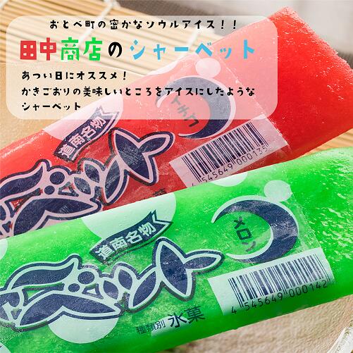 【ふるさと納税】 ＜田中商店　フルーツシャーベット詰め合わせ(イチゴ味10本、メロン味10本)＞昔なつかしの味！北海道 乙部町 シャーベット アイス 夏 暑い日 おすすめ 懐かしい レトロ 熱中症対策 夏の味 ソウルフード