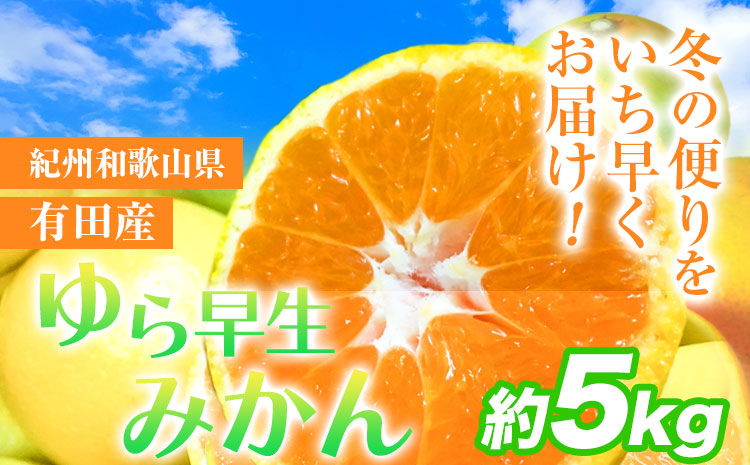紀州和歌山有田産 ゆら早生みかん 約5kg 株式会社魚鶴商店《2025年10月上旬-11月上旬頃出荷》 和歌山県 日高町 みかん 早生 柑橘(F)