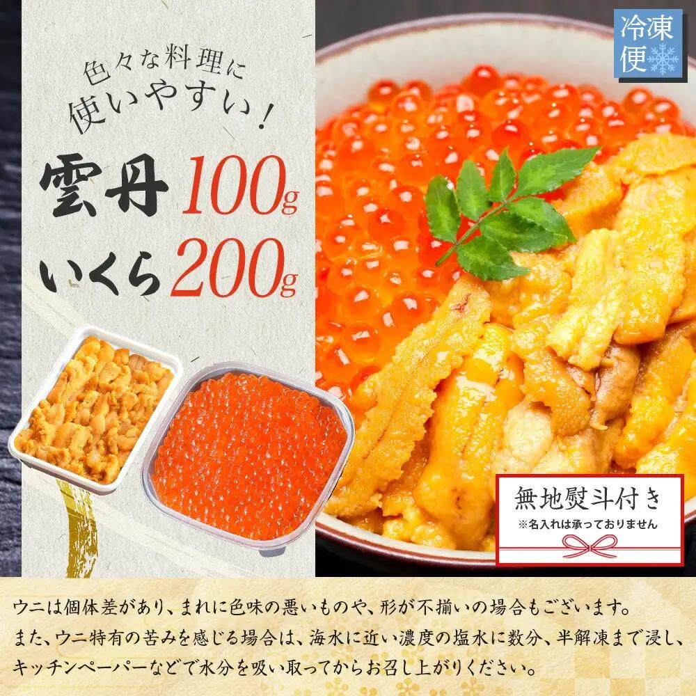 無地熨斗 うに 100g いくら醤油漬け 200g ウニ チリ産 冷凍 いくら 二色丼 雲丹 イクラ 海鮮 海鮮丼 うに丼 いくら丼 いくら醤油漬け のし 名入れ不可 送料無料 北海道 弟子屈町 35