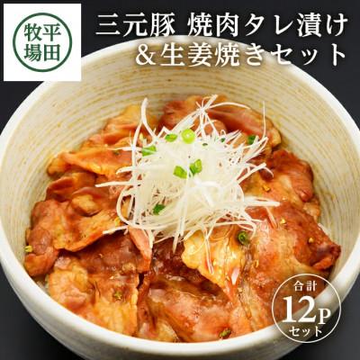 ふるさと納税 酒田市 【平田牧場】日本の米育ち◆三元豚 焼肉タレ漬け&amp;生姜焼き2種セット計12パック(各140g×6)