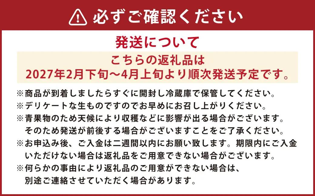 ＜ R8年熊本地震復興支援 ＞熊本産 ブラッドオレンジ 約3kg前後【2027年2月下旬～4月上旬迄順次発送予定】 オレンジ 果物 フルーツ 希少 国産