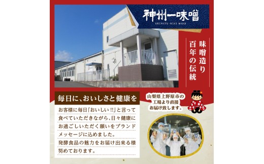 （WT60）神州一味噌 おいしいね！！ 長ねぎ 60食(1食×6個×10箱） 味噌汁 カップ味噌汁 インスタント レトルト みそ汁 備蓄 非常食 保存食 簡単 便利 即席 発酵食品 朝食 ランチ 夜食 お弁当のお供に 防災 大容量 常温保存 ローリングストック 送料無料 山梨県 上野原市