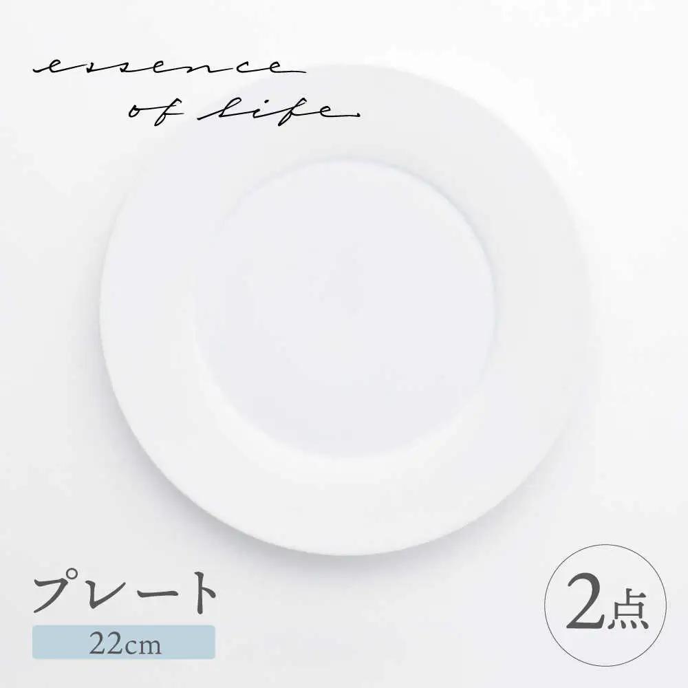【波佐見焼】【essence】agasuke プレート 〈22cm〉 2点【西海陶器】[OA448]