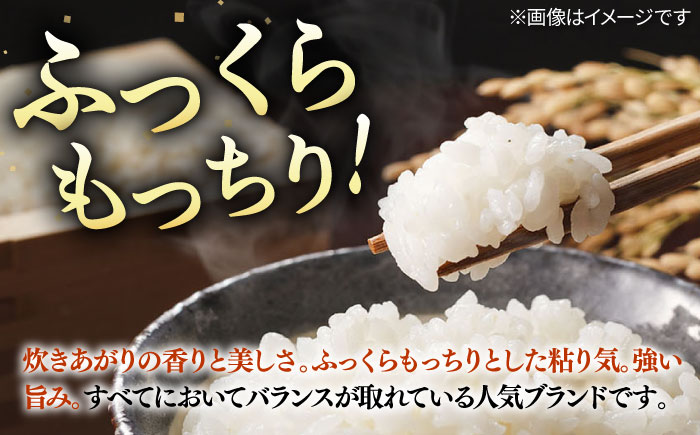 【R7年度産】こしひかり 10kg 《壱岐市》 【長米壱岐営業所】[JCZ019] ごはん ご飯 こしひかり コシヒカリ 37000 37000円