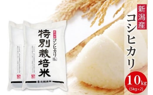 
            特別栽培米 新潟産コシヒカリ 10kg  令和7年産 精米 白米
          