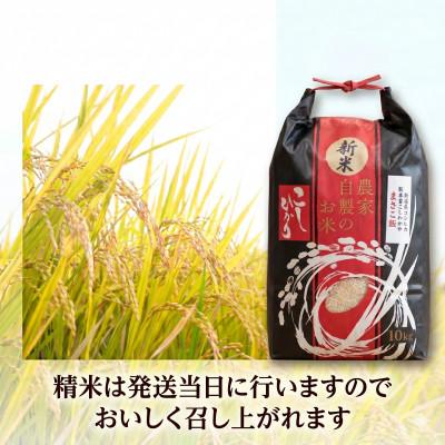 ふるさと納税 館林市 令和8年産　館林市産こしひかり精米10kg
