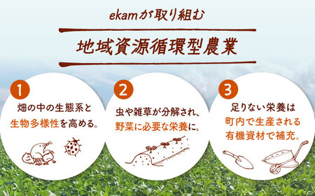 《農薬不使用》乾燥小粒青大豆（品種：黒神）【ekam】 大豆 豆 オーガニック 農薬不使用 有機JAS認証 青大豆 乾燥大豆 北海道 [AXBV011] 4000 4000円