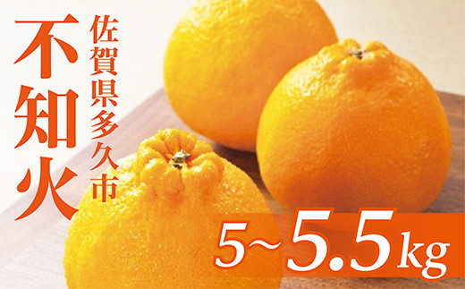 
                  【3月末頃から順次発送】数量限定 山崎農園の不知火（しらぬい）5～5.5kg 2L玉 _b-119
                