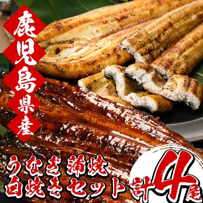 鹿児島県産 うなぎ 蒲焼・白焼き 食べ比べ 各2尾 うなぎ【00-025-11】