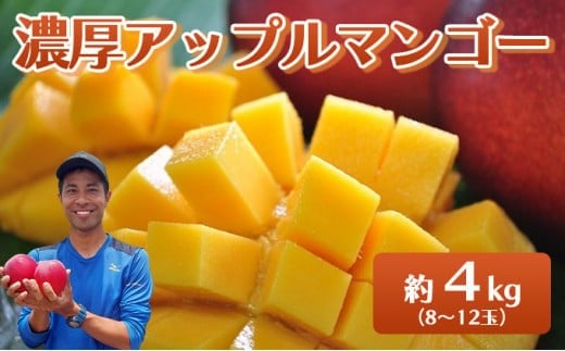 2026年 先行予約 アップルマンゴー 約4kg 8～12玉入り 八重山マンゴー品評会総合1位を計3回獲得！高糖度保証！農園ファイミール 濃厚 果物 フルーツ 約4kg (8～12玉)