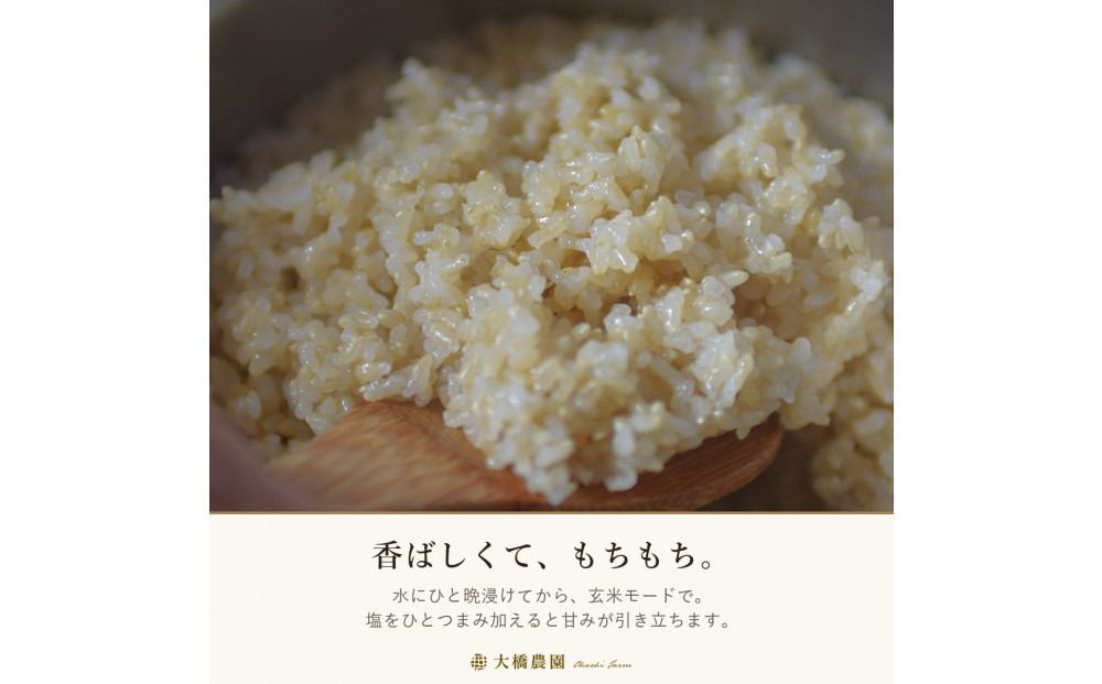 令和8年　玄米ヒノヒカリ9kg