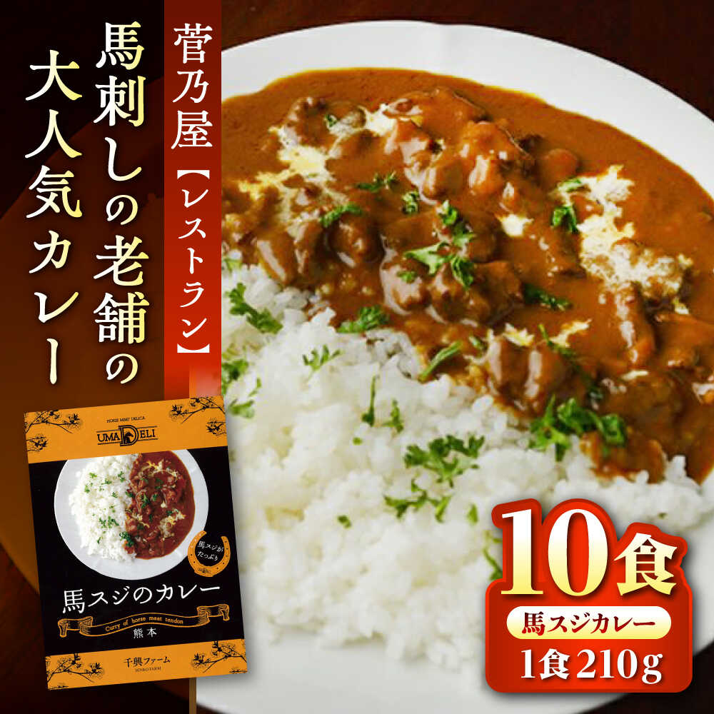 【ふるさと納税】馬スジのカレー 10食 210g×10 計2.1kg 馬スジ カレー セット 熊本 レトルト 小分け【株式会社 千興ファーム】[AYAF027]