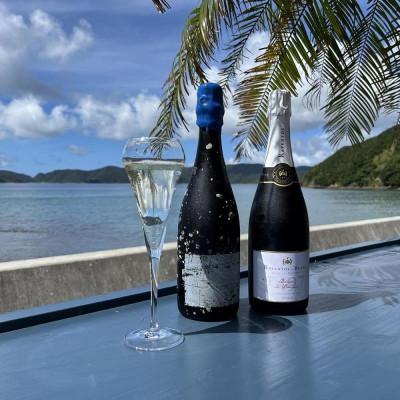 ふるさと納税 瀬戸内町 tlass-2024 1st Edition-海底熟成前後飲み比べスパークリング |  | 01