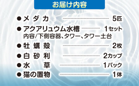 メダカスターターキット アクアリュウムタワー クリアー 【株式会社プロスパージャパン】 スターターキット 水槽 セット[AEAK004]