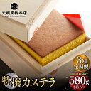 【ふるさと納税】【全3回定期便】【木箱入り】特撰カステラ 580g 長与町/文明堂総本店 [EAK002] カステラ 長崎 贈答 ギフト お土産 デザート 熨斗 人気 和菓子 常温 かすてら ざらめ ザラメ お取り寄せ 文明堂 定期 定期便