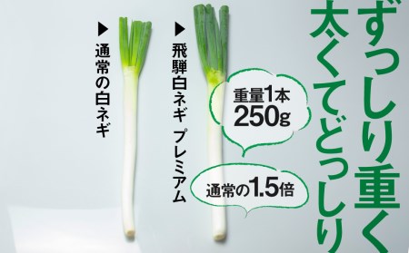 《先行予約》水村農園 飛騨の根深ネギ プレミアム ねぎ 5本 飛騨産野菜 旬の野菜[Q330re] syun81