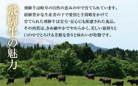 《定期便》全5回 飛騨牛＆ 結旨豚 すき焼きしゃぶしゃぶ | 肉 お肉 豚肉 牛肉 国産 食べ比べ セット 白川郷 岐阜県 白川村 ブランド豚 人気 おすすめ ギフト 飛騨高山ミート 70000円 [