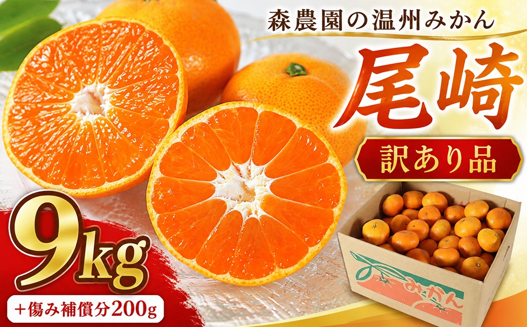 
                  【訳あり品】森農園の温州みかん 尾崎 9kg＋傷み補償分200g ／ ミカン みかん 蜜柑 柑橘 温州みかん うんしゅうみかん 温州 うんしゅう 尾崎 おざき オザキ 尾崎みかん 訳あり ワケアリ わけあり 9kg 9キロ 補償付 柑橘類 甘い フルーツ 先行予約 12月 12月発送 12月配送 年内発送 年内配送 ＜162-101＞
                