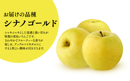 12月上旬～発送　 訳あり シナノゴールド約3kg(家庭用)【なるみ農園・青森りんご・平川市産・数量限定】