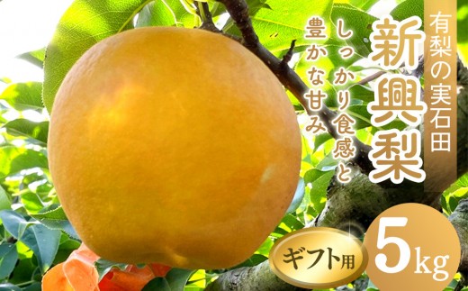 有梨の実石田 新興梨 (ギフト用)5kg【10月頃お届け】