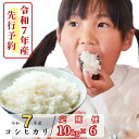 【ふるさと納税】《令和7年産新米先行予約・9月ごろよりお届け開始》【6回定期便】白米 10kg 令和7年産 コシヒカリ 岡山 あわくら源流米 K-ag-CEZA