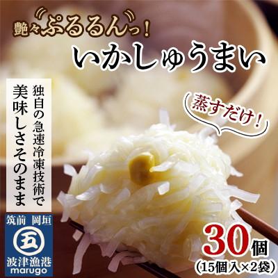 ふるさと納税 岡垣町 【発送月固定定期便】いかしゅうまい30個　ツヤツヤぷるるんっ。(岡垣町)全4回