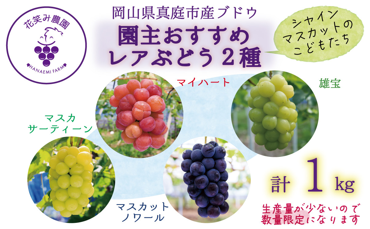
            hana64.岡山　花笑み農園　『園主おすすめレアぶどう2種セット』～シャインの子供たち～
          