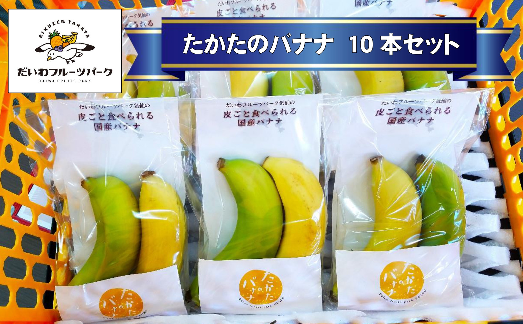 
            【東北育ちの南国フルーツ】 たかたのバナナ10本セット 【 バナナ 品種おまかせ フルーツ 果物 贈答品 陸前高田市産 だいわフルーツパーク 】 RT2272
          