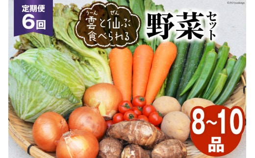 
										
										6回 定期便 雲（う～ん）と仙（ぜん）ぶ食べられる 野菜セット 8～10品 [肥前グローカル 長崎県 雲仙市 item1394] 野菜セット 野菜 セット 詰め合わせ
									