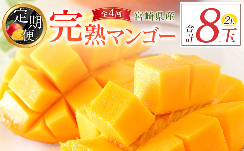 宮崎特産「完熟マンゴー2L×2玉」お届け定期便（全4回）計8玉 特産 国産 果物 フルーツ 旬 産地直送【F143-27】