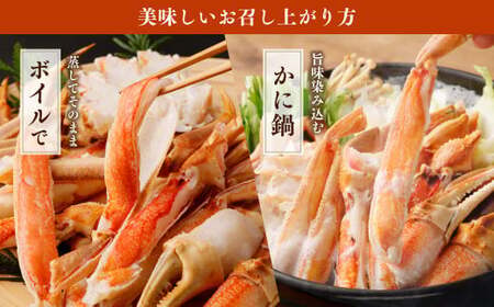 生 ズワイ蟹 鍋 3点セット 1kg ｜ 海鮮 カニ かに 蟹 ズワイガニ 鍋セット 海鮮鍋 冷凍