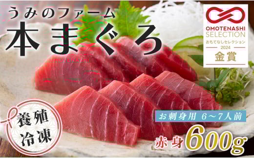 【高知県大月町産】うみのファーム お刺身用本まぐろ 赤身 600ｇ