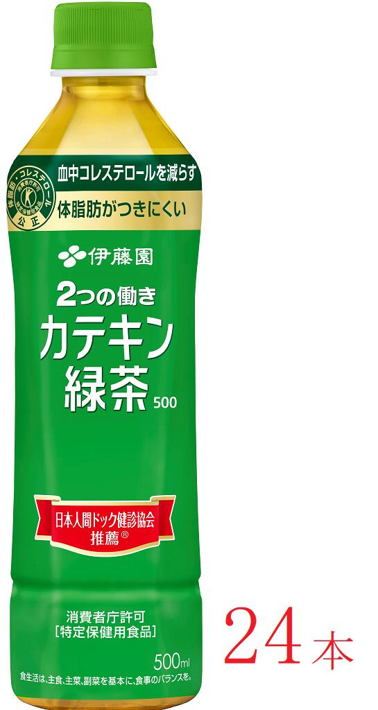 【ふるさと納税】伊藤園　【特保】 カテキン緑茶「500ml×24本」【飲料 緑茶 カテキン 特定保健用食品 長野県 安曇野市 信州】