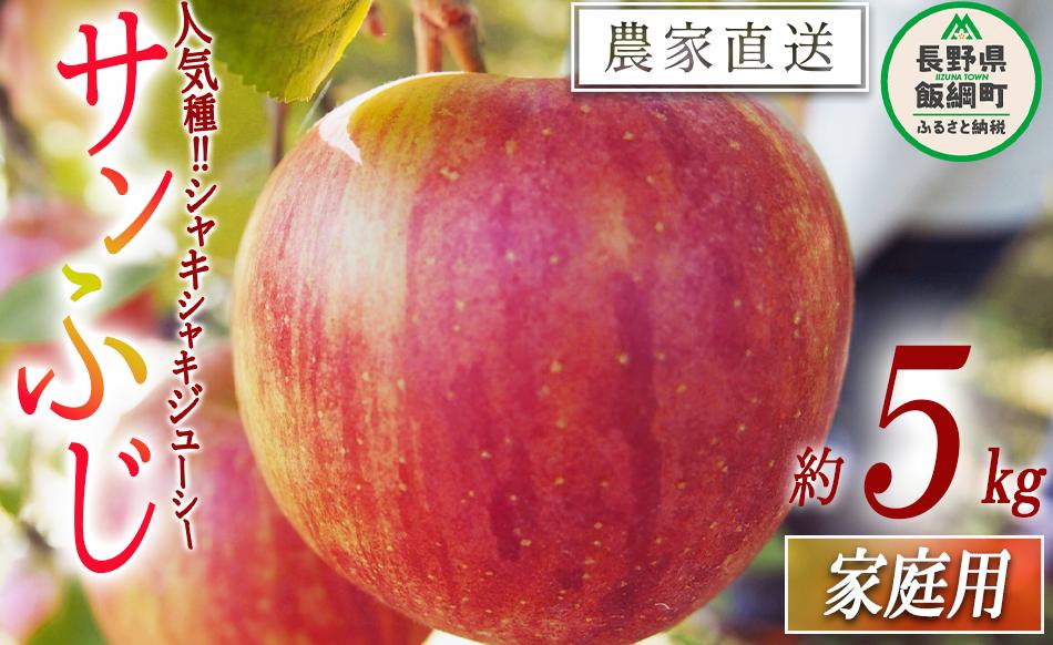 りんご サンふじ 家庭用 5kg 松橋りんご園 沖縄県への配送不可 2025年12月上旬頃から2026年3月上旬頃まで順次発送予定 令和7年度収穫分 フルーツ リンゴ 信州 長野県 飯綱町 [0829